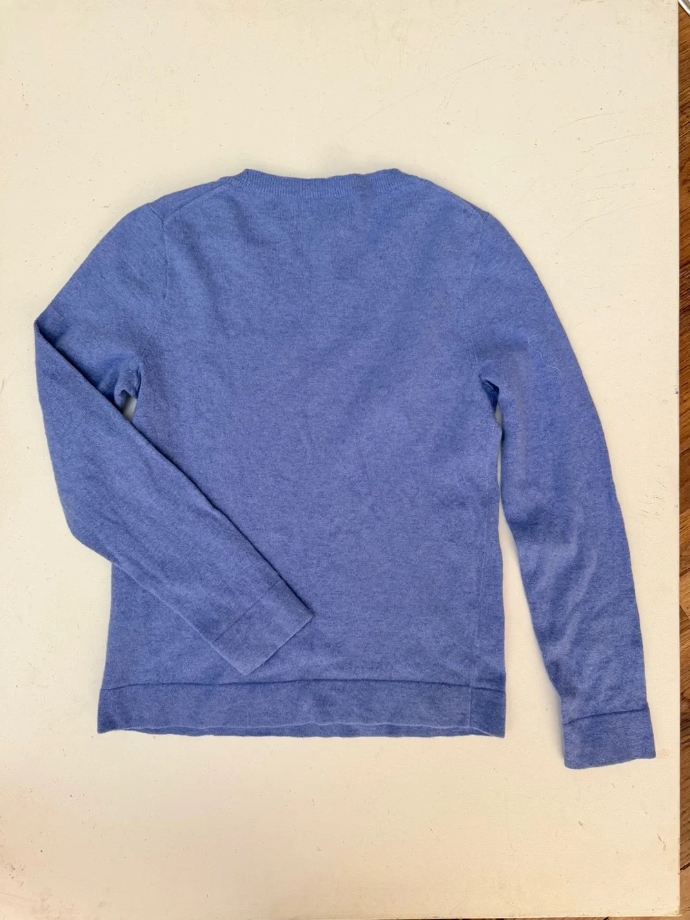 J Crew Teddie blue crew neck merino wool sweater